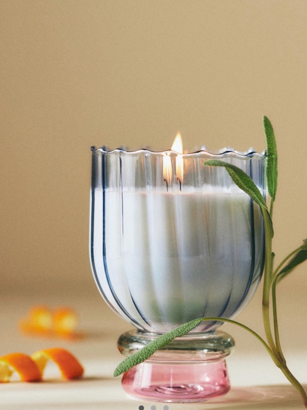 Anthropologie Pomegranate & Sage Glass Candle